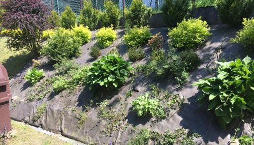 Słoneczny domek - Foto 5, Garden