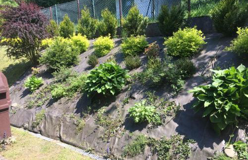 Słoneczny domek - Foto 5