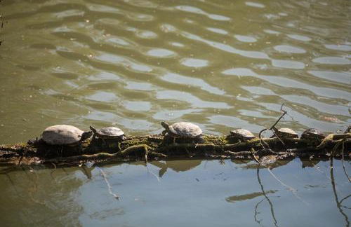 Agriturismo Casa Fiorindo - Foto 29