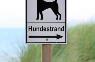 Kopenhagen - Foto 14