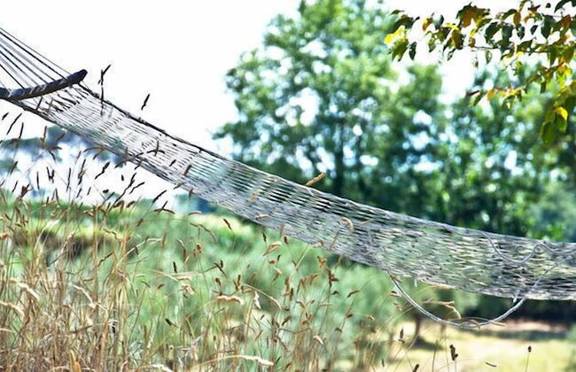 Agriturismo Terrasabina - Foto 59