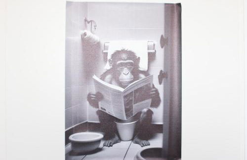 1 Privatzimmer in Dreizimmer Wohnung Lemgo Innenstadt Ferien Unterkunft - Foto 35