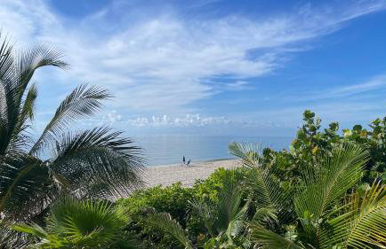 StudioBTS - Lauderdale-By-The-Sea - Photo 33