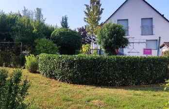 Ferienhaus Vogelsberg - Photo 5