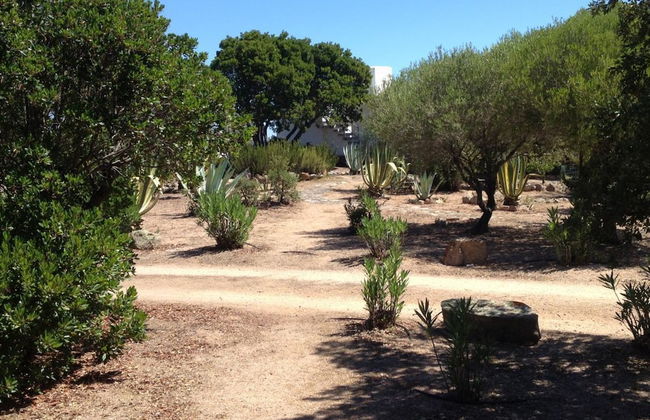 SVS - Lu Impostu Villa e Apartments - Foto 30