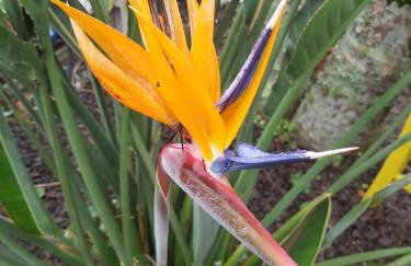 Residencial da Praia 4 - Foto 11