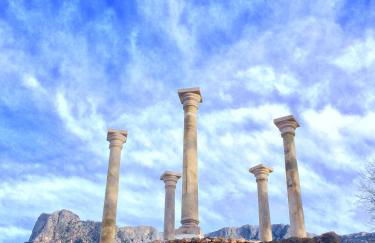 Finca Cas Sant - Foto 29