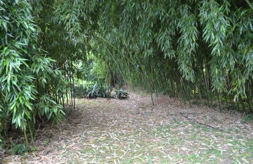 Les Bruyeres Gite - Foto 16