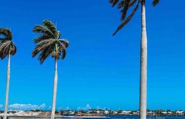 New 2BR Bungalow Apartment #5 - Foto 19