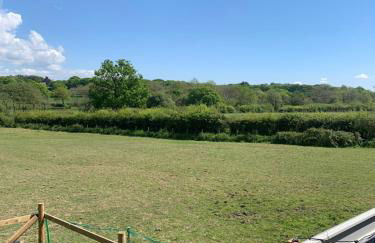 Shepherds Hut with Scandinavian Hot Tub and hydromassager - Foto 39