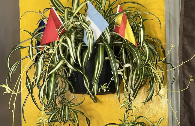 Pied-A-Terre Mont-Royal - Foto 34