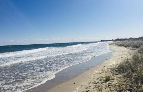 Sternkieker - Photo 16