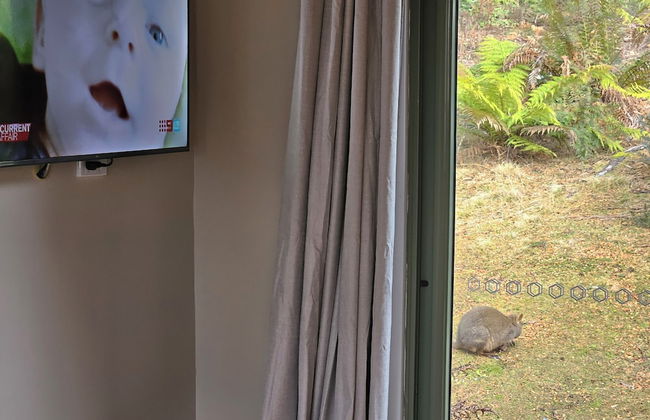 Cradle Alpine Retreat - Foto 26