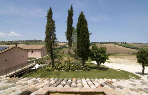 Tenuta San Marcello - Foto 34