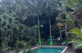 Pool amid the green - Foto 24