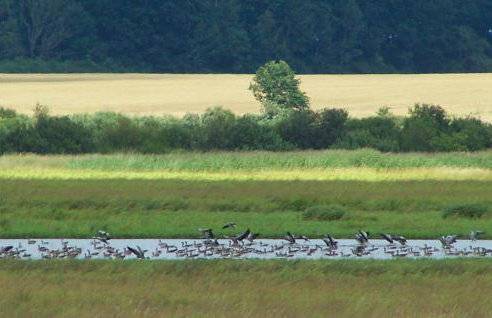 3 Bedroom Awesome Home In Postomino - Foto 29