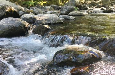 Grande maison cévenole authentique - Foto 26