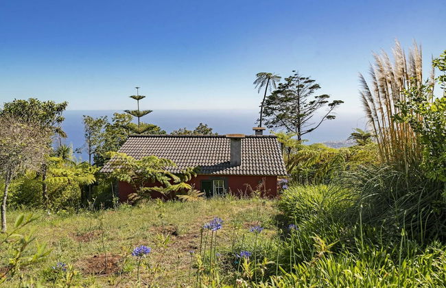 Quinta Devónia - Foto 22