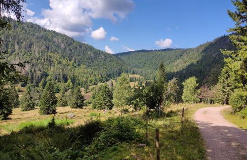 Ferienwohnung Rehblick Oberbränd - Foto 11