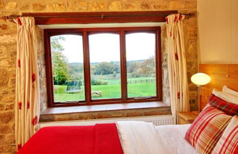 David's Organic Farm Wales - Foto 35