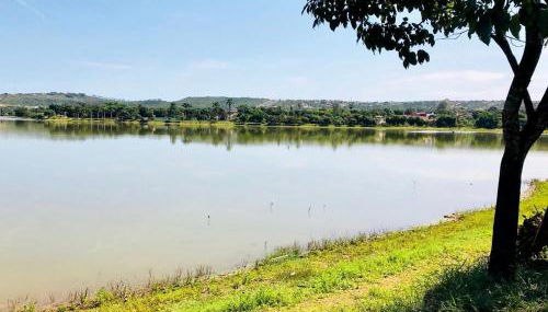 Margem da Lagoa Santa - Foto 3