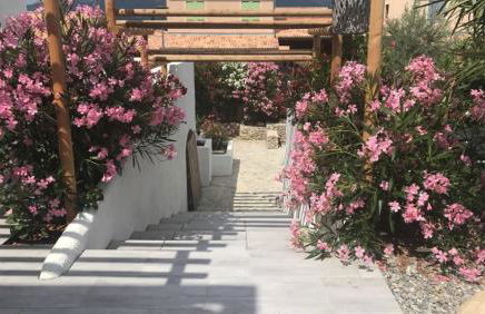 La Salamandre de l Olivier - le Palmier - Foto 15