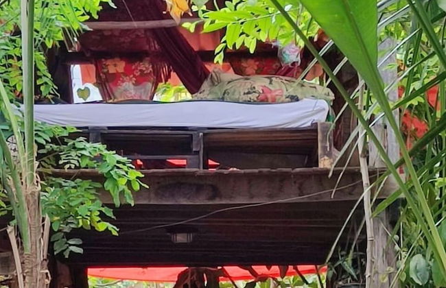 Pousada Pouso das Araras - Foto 40