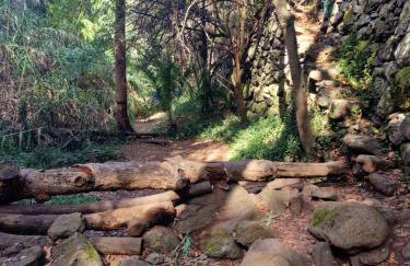 La Herbolera Vv Apartamento - Foto 46