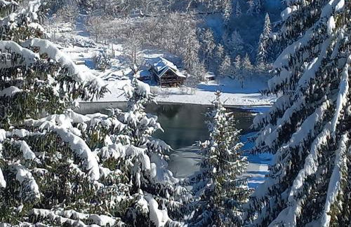 Chalet Evasion Bréda - Foto 38