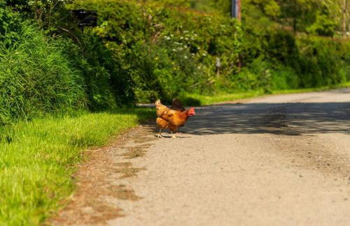 Chalet Lodge 2 - Hot Tub by Interhome - Foto 27