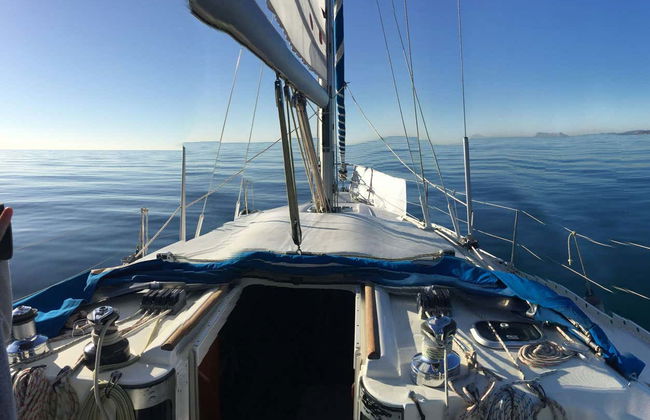 Puerto Banús Sailing Boat Tour - Foto 19