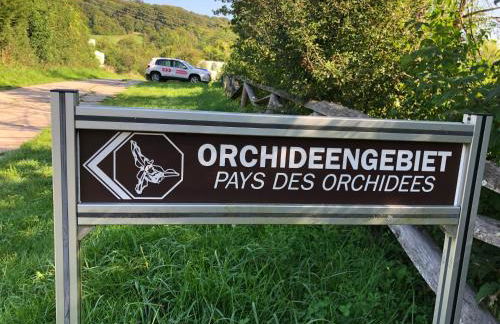 Dachgeflüster - Foto 22