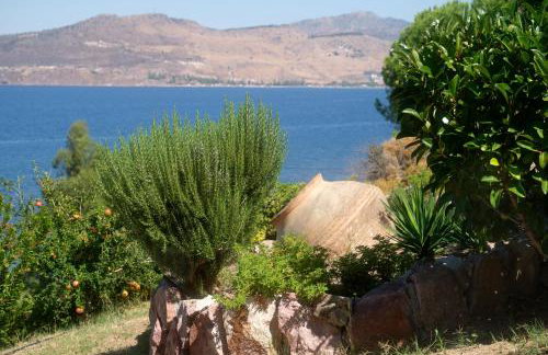 Little Bird Lesvos - Photo 39