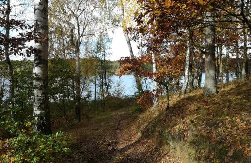 200 Years of History - Foto 25