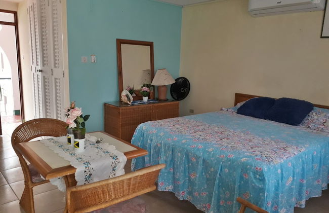 Beautiful 1-bed Beach Side Studio in Montego Bay - Foto 7