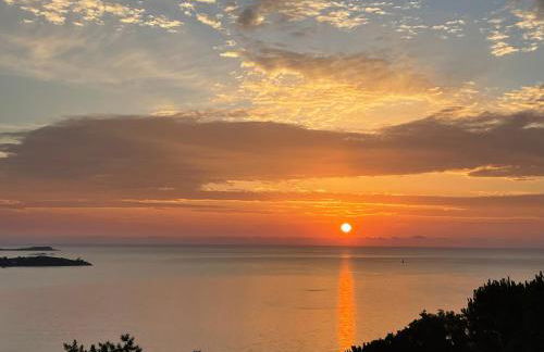 Résidence MARINA SERENA - Foto 24