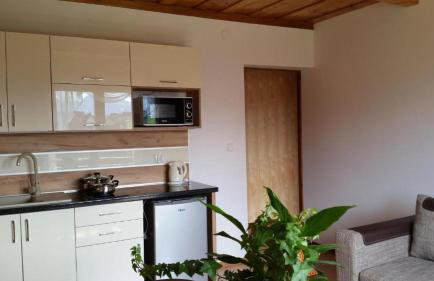 Apartament z widokiem na góry 2 - Foto 3
