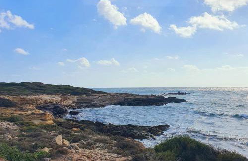 Sky and Sea Apartment Calasetta - Foto 8