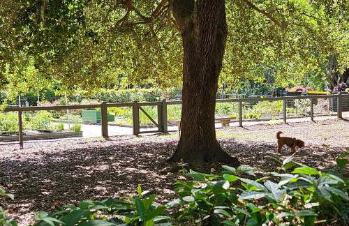 Low Country Cottage in Beautiful Habersham - Photo 44