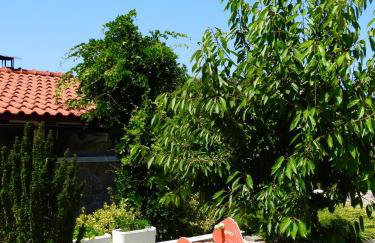 Apartments Gorančica - Foto 45