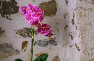 Platipodi stone house - Photo 6