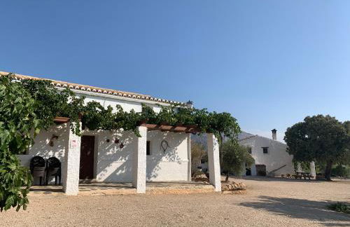 Casas Rurales Cortijo Cerro Fuentes Nuevas - Foto 12