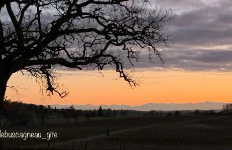 Le Buscagneau - Photo 41