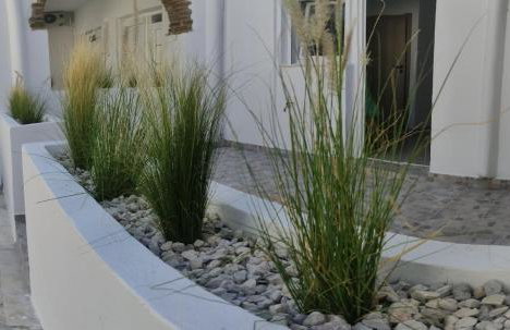 Tinos Summer Vibes Studios 1 - Foto 29