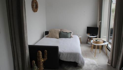 Appartement lumineux Parking privé Terrasse 2 Vélos - Foto 5