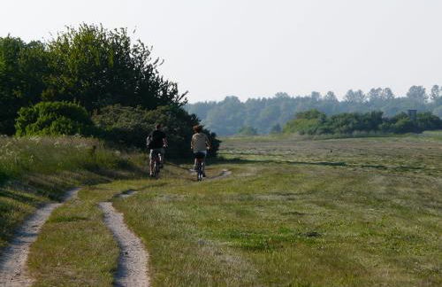 Appartement auf Rügen - Foto 45