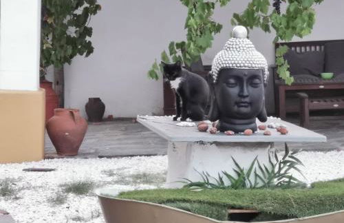 Herdade da Yucca - Retreat & Spa - Foto 80