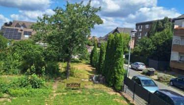 Eva's Home - Nähe Phantasialand, Therme Euskirchen, Eifel,sehr gute Bahnanbindung nach Köln - Foto 2, Garden