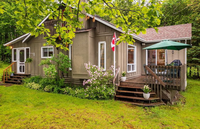 Bear Essentials Lakefront Hideaway - Foto 2