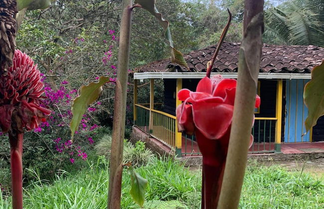 CABAÑAS EL PARAISO EN FILANDIA - Photo 12